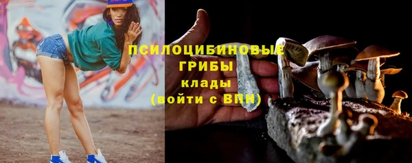 Альфа ПВП Богородицк