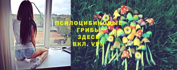 гидропоника Богородск